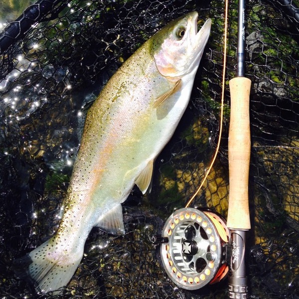 A photo of kenny kenny's catch
