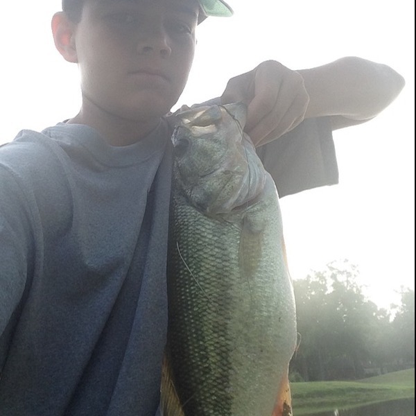 A photo of jrod4him3's catch