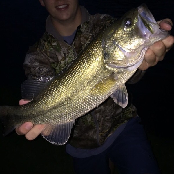 A photo of Cburford_'s catch