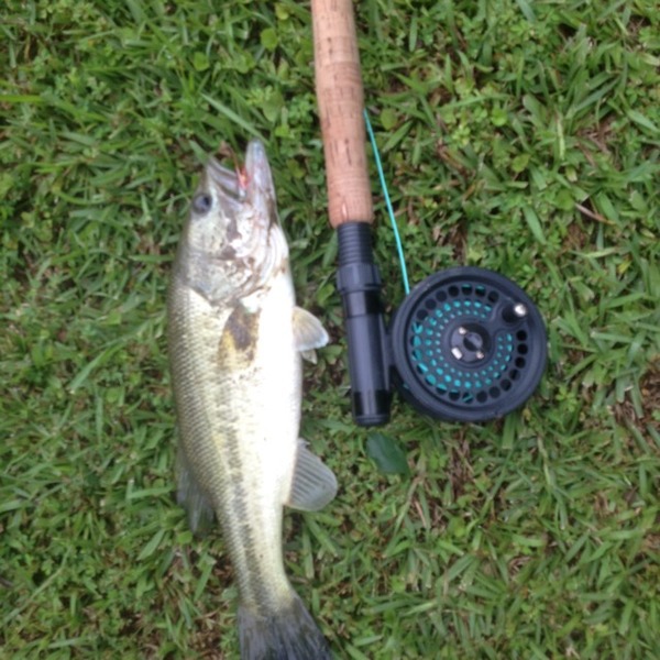 A photo of JoshHarrell10's catch
