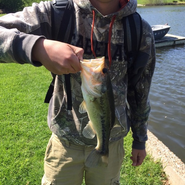 A photo of MOPondHopper's catch