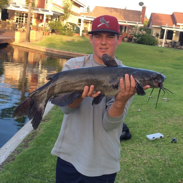 A photo of jake147's catch