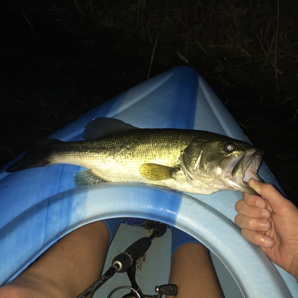 A photo of Ptrhule's catch