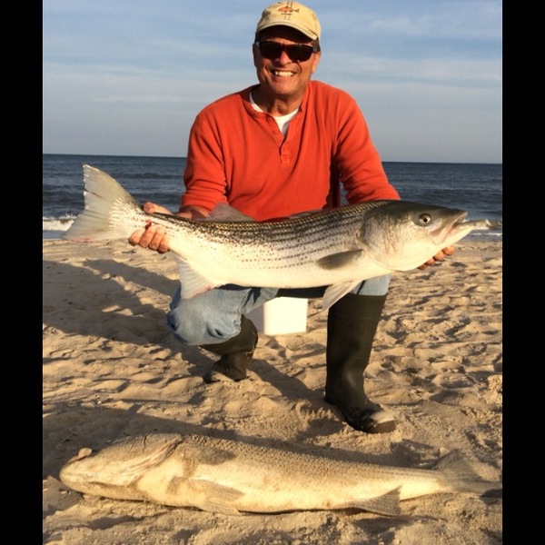 A photo of Surf_Fish_King's catch