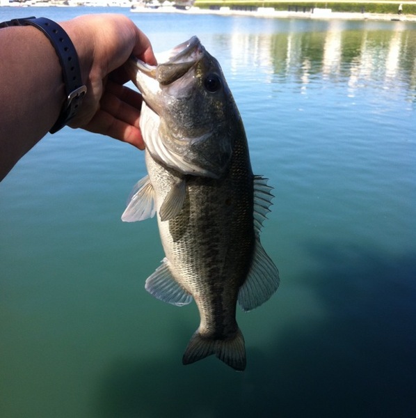 A photo of 9G3B's catch