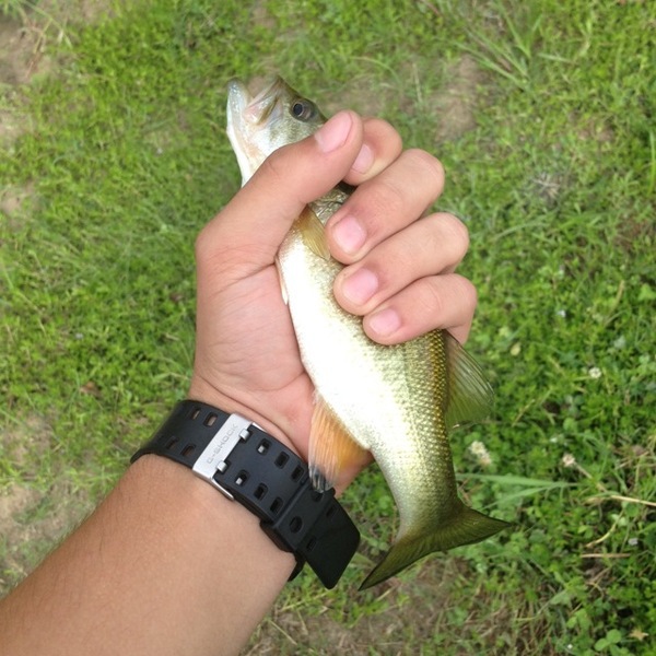 A photo of Alec Navarro's catch
