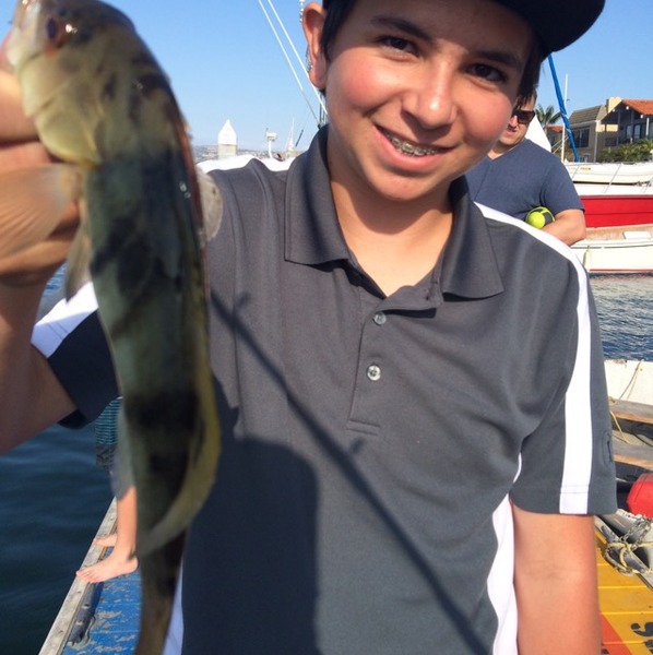 A photo of andy_valdez48's catch