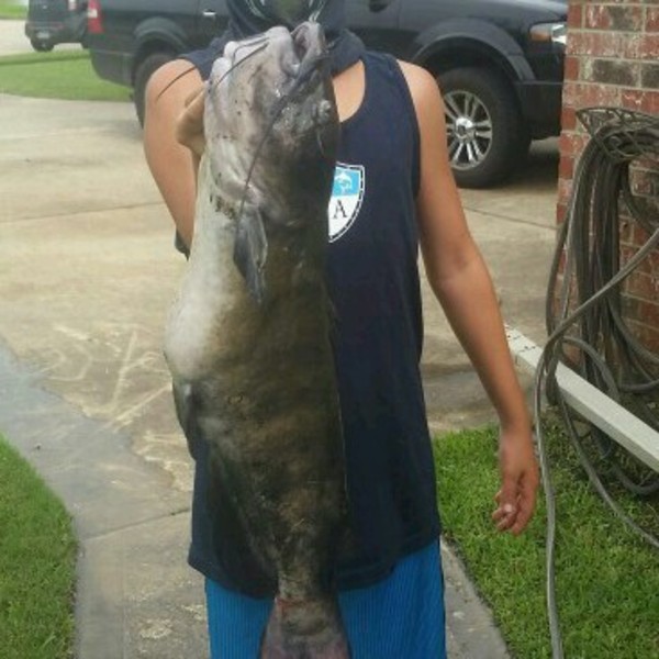 A photo of fisher_jc's catch