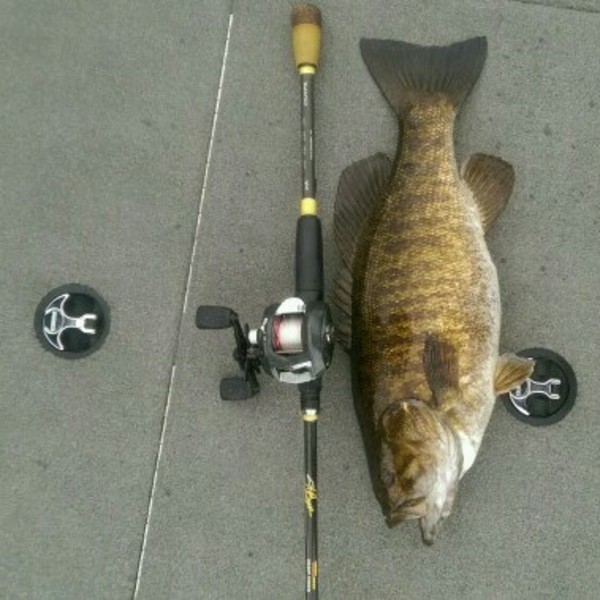 A photo of PERRY MARVIN 's catch
