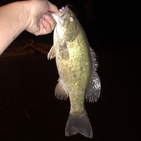 A photo of nick vojtek's catch