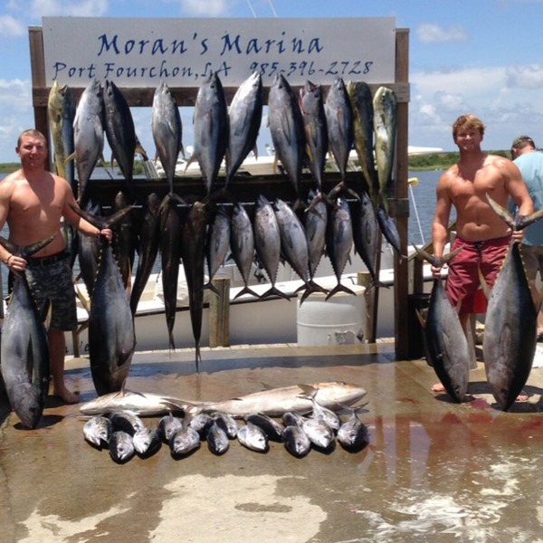 A photo of nafro12's catch
