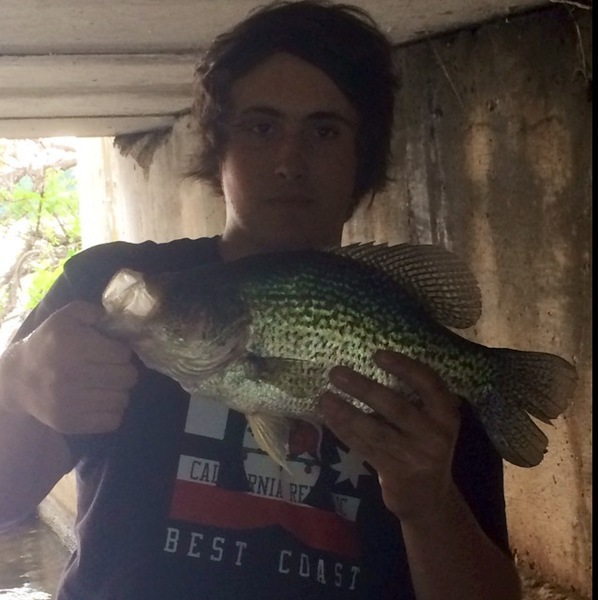 A photo of Crappiemaster246's catch