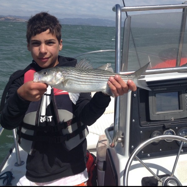 A photo of ericgoltz_'s catch