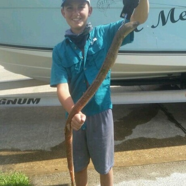 A photo of fisher_jc's catch