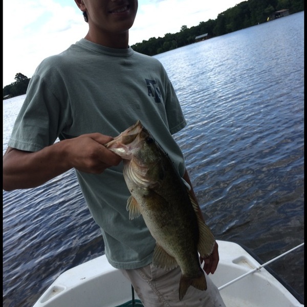 A photo of Cullen Robertson Cullen Robertson's catch