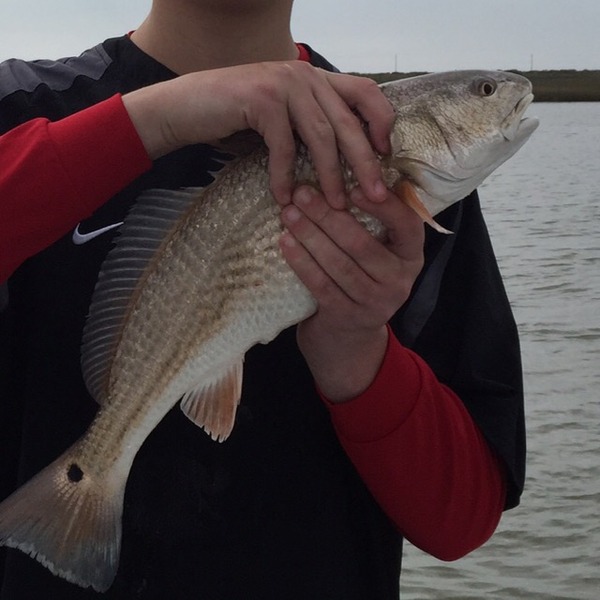 A photo of TJcope's catch