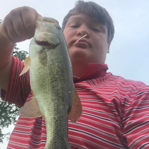 A photo of BigOleConMan's catch