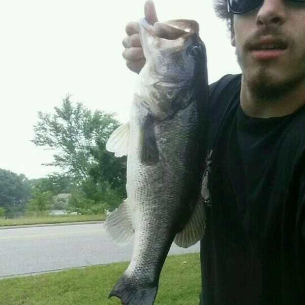 A photo of shaneb47's catch