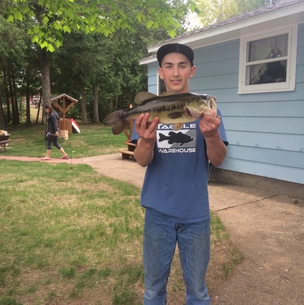 A photo of macthomson245's catch