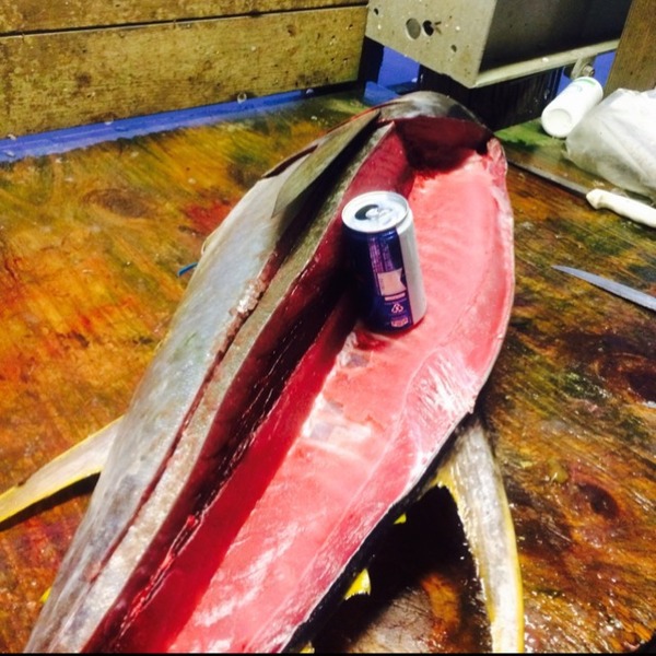 A photo of nafro12's catch