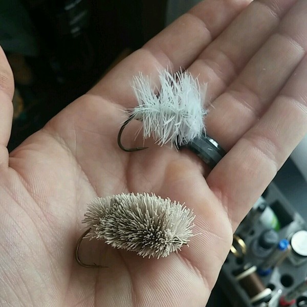 A photo of Austin Austin's catch