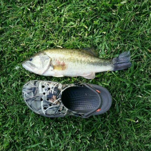 A photo of Geoffrey Polefko's catch