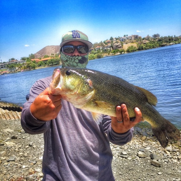 A photo of bass_hooker's catch