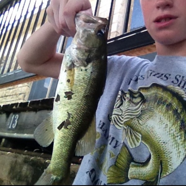 A photo of zksutton's catch