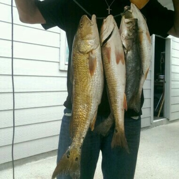 A photo of Chad's catch