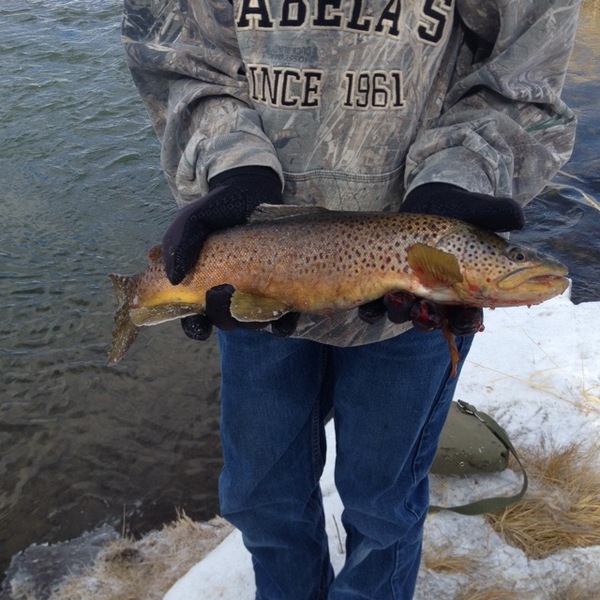 A photo of colter105's catch
