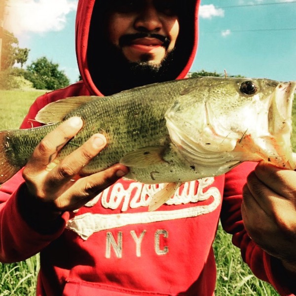 A photo of Pacocorona7's catch