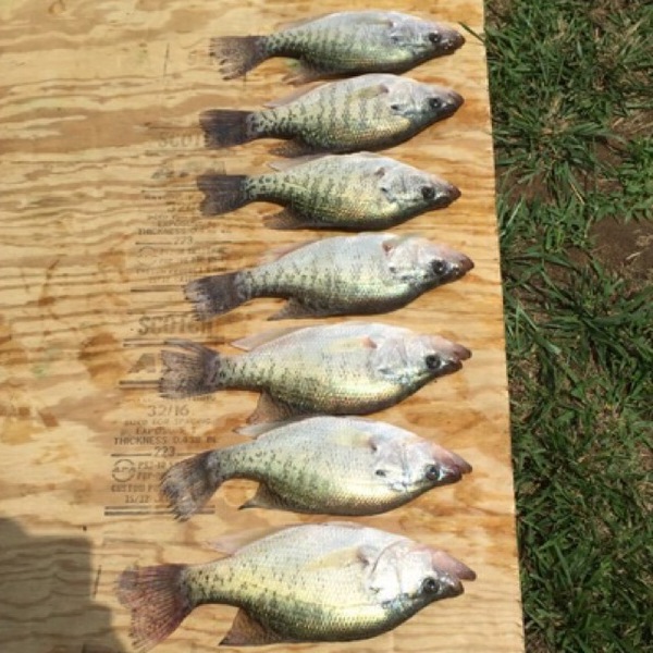 A photo of Tanner Blair's catch