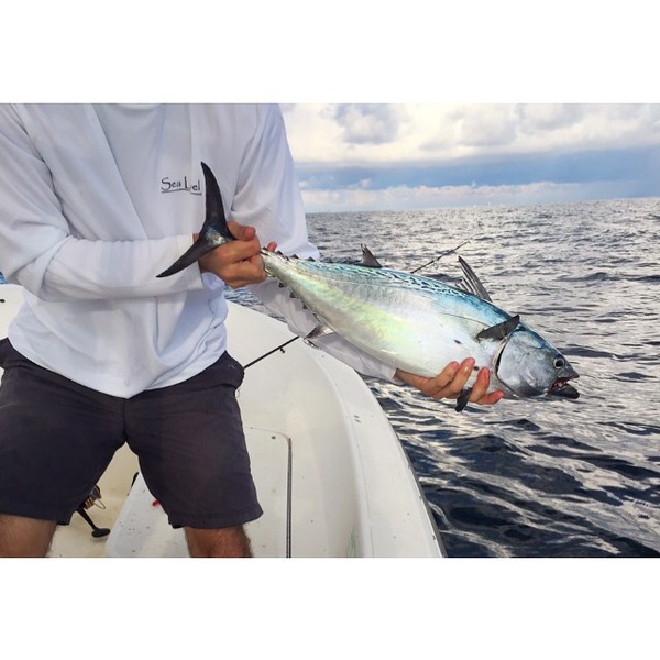 A photo of SeaLevelApparel's catch
