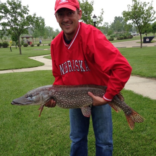 A photo of collinchladil12's catch