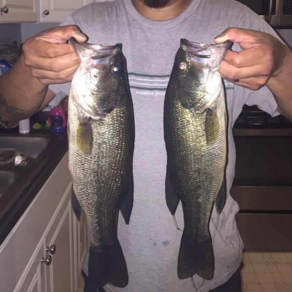 A photo of Kingmendoza's catch