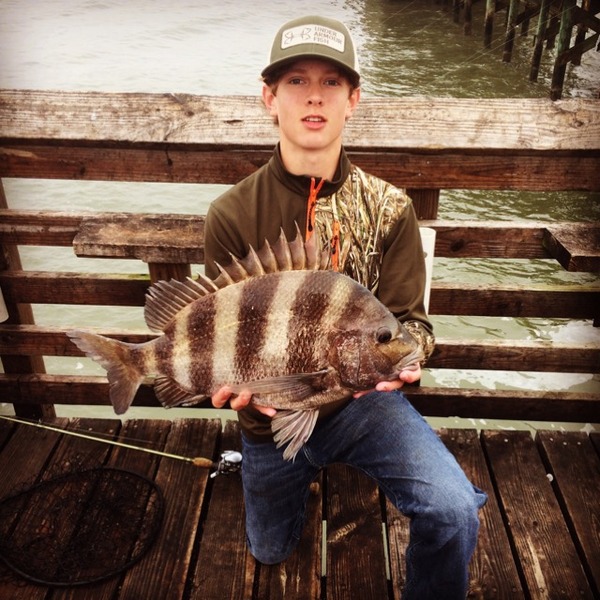 A photo of BlaGra15's catch