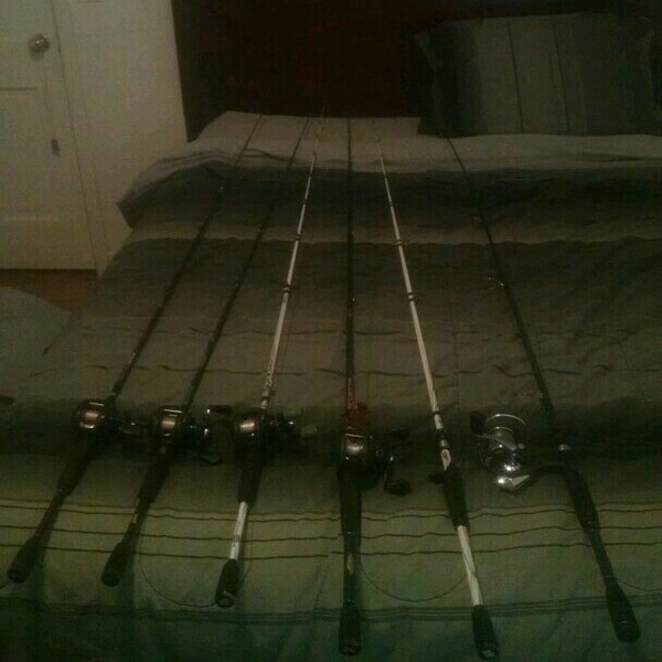 A photo of sc_outdoorsman's catch