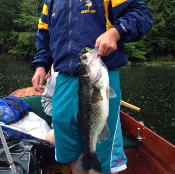 A photo of shutupandfish15's catch