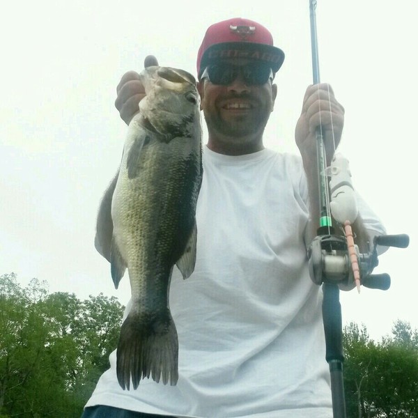 A photo of Jbird_401's catch
