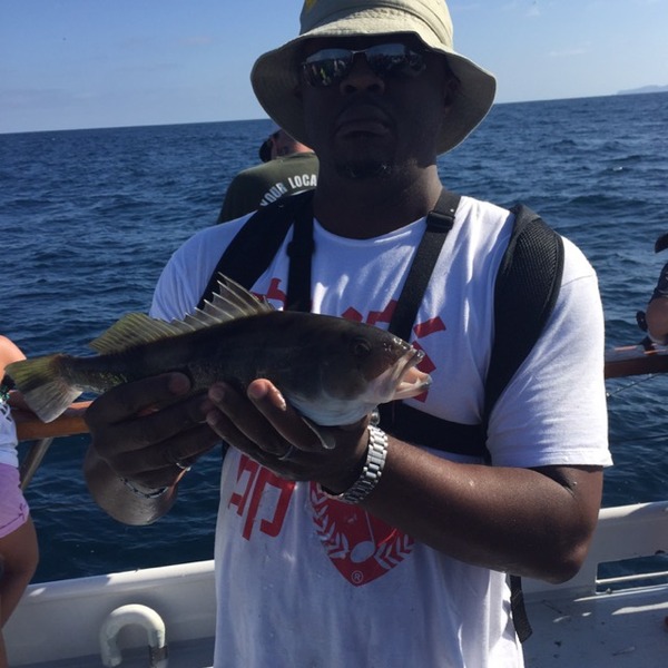 A photo of djnimbus's catch