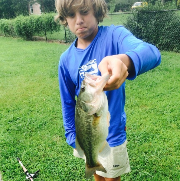 A photo of paulmcminn42rtr's catch