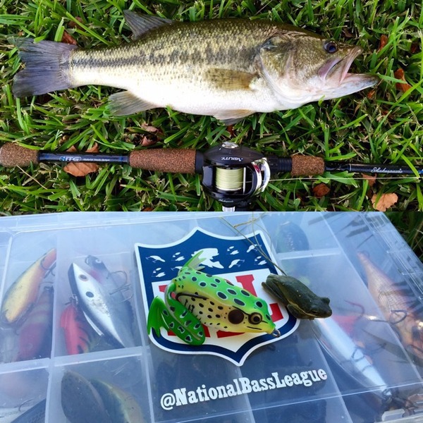 A photo of AnthonyRuiz's catch