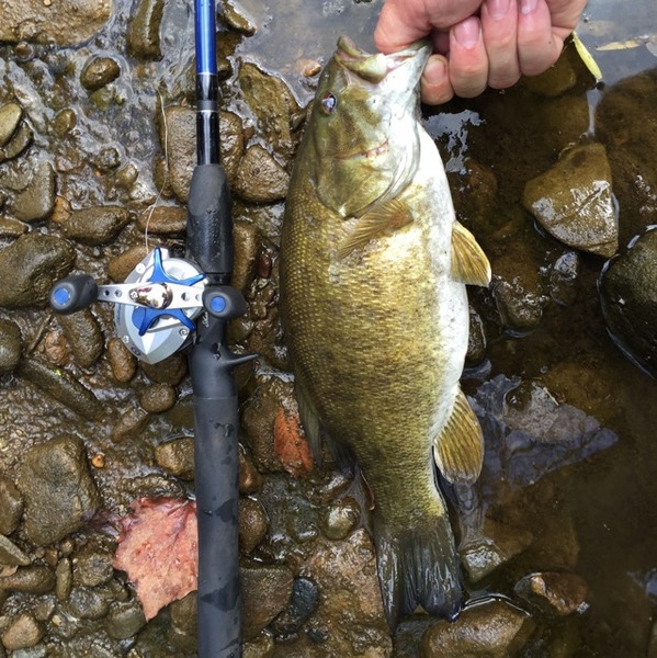 A photo of fmt1305's catch