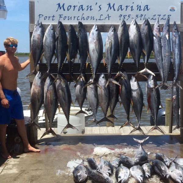 A photo of nafro12's catch