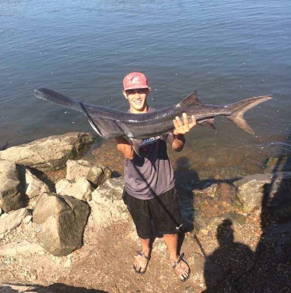 A photo of Taylor_freese's catch