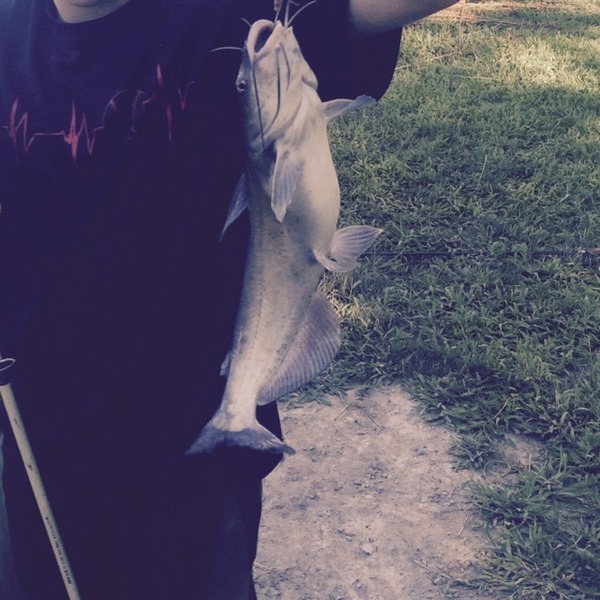A photo of hoots's catch