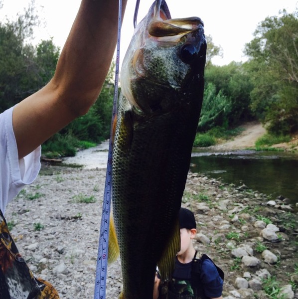 A photo of BlaiseOne's catch