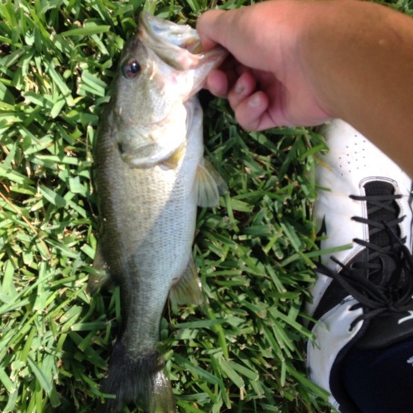 A photo of Tony Roca's catch