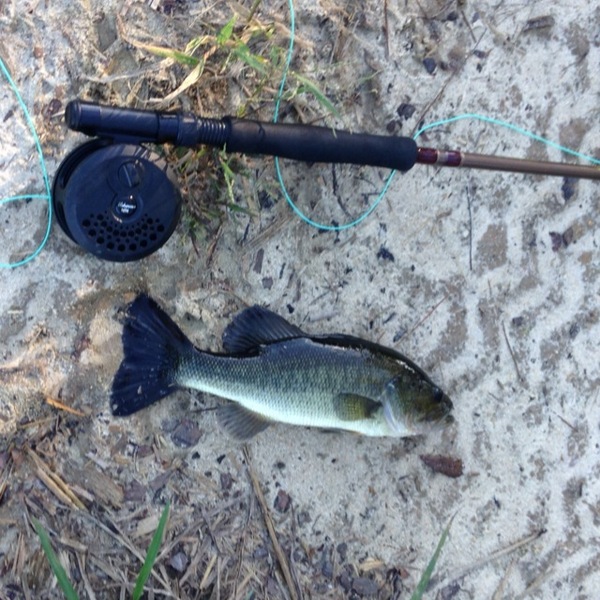 A photo of hunt_adict's catch