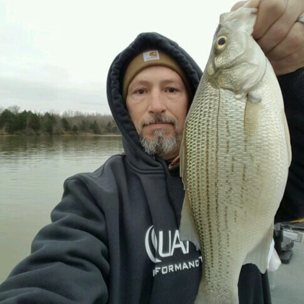 A photo of TennesseeTony's catch